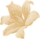 about-2-flower about-2-flower