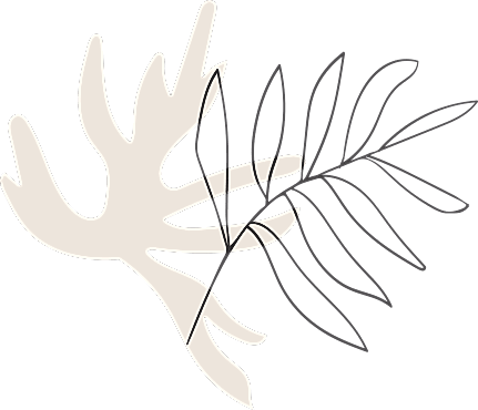 contact-2-shape-1 contact-2-shape-1
